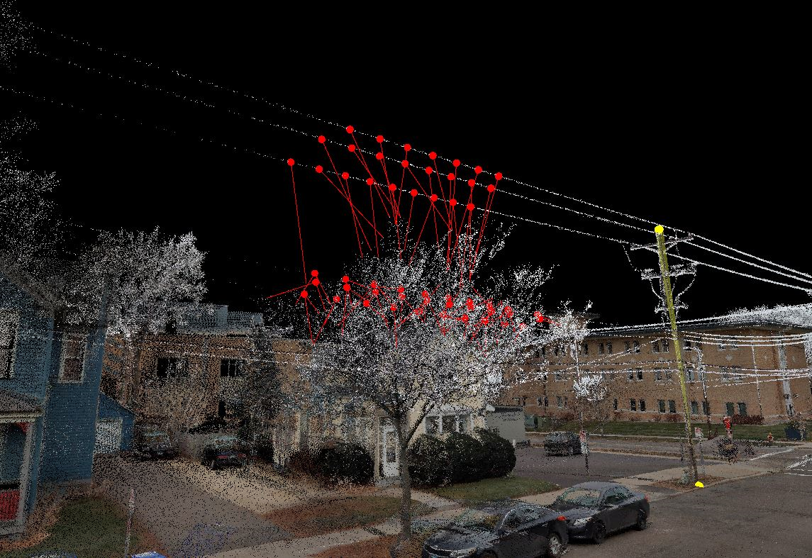 Vegetation Encroachments 2 Vegetation Encroachments 2